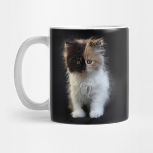 You can tell me you've met cuter than me, but I don't know if I'll believe you... Mug